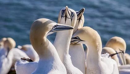 天堂电影网，天堂电影网